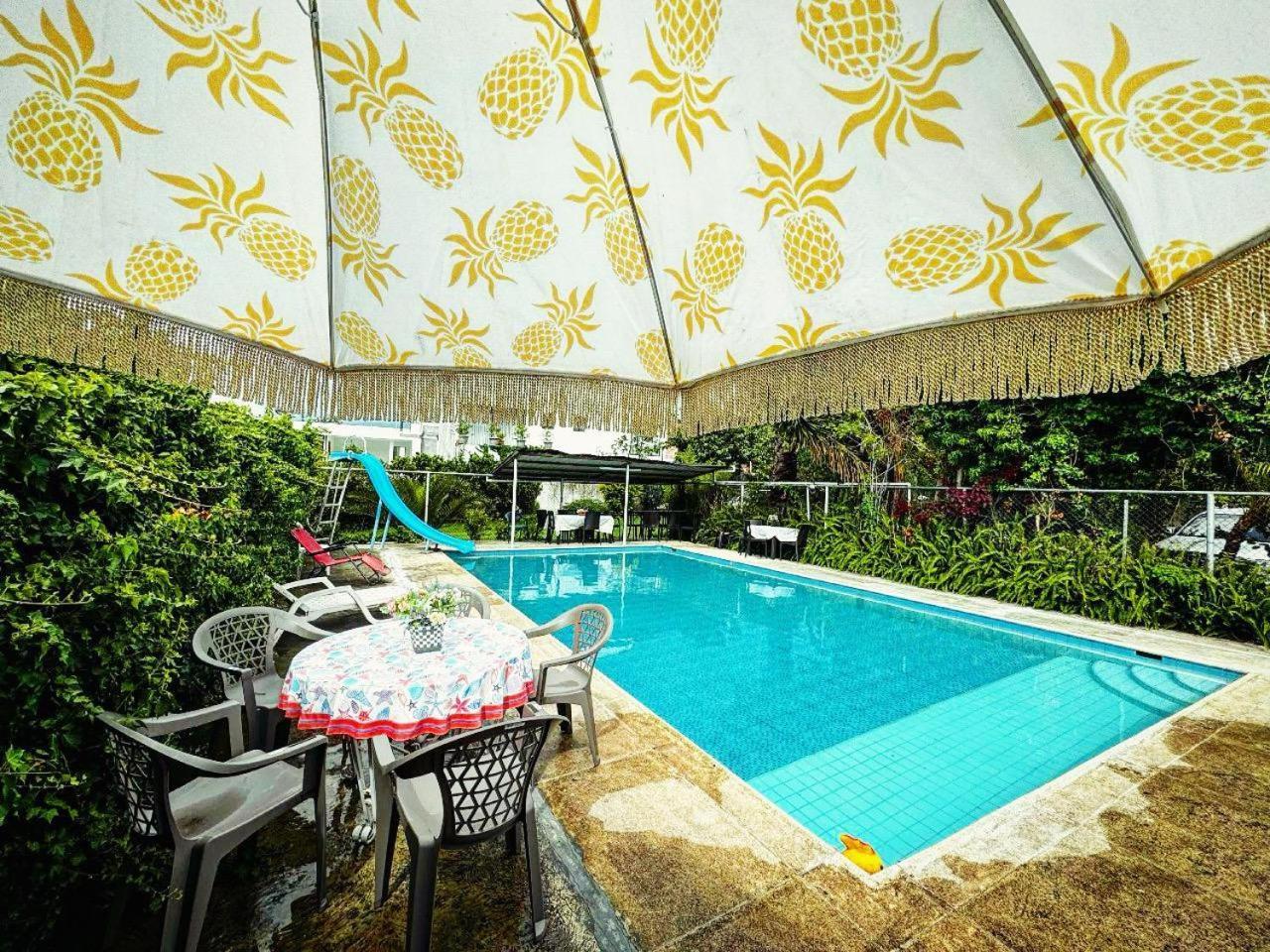 キトCasa Elaluアパートメント エクステリア 写真